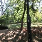 Napsugár Hotel Gyopárosfürdő Gyopárosfürdő - Külső kép