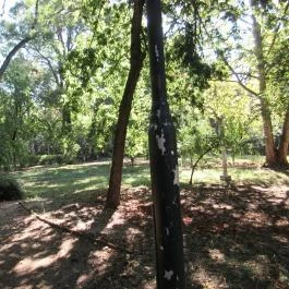 Napsugár Hotel Gyopárosfürdő Gyopárosfürdő - Külső kép