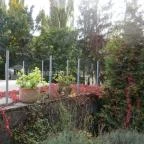 Nomád Hotel & Glamping Noszvaj - Medence/kert