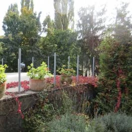 Nomád Hotel & Glamping, Noszvaj - Medence/kert