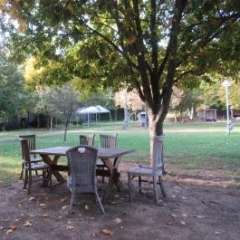 Nomád Hotel & Glamping, Noszvaj - Medence/kert