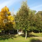 Nomád Hotel & Glamping Noszvaj - Medence/kert