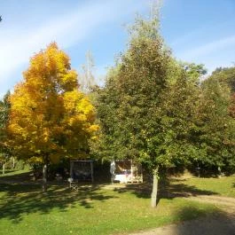 Nomád Hotel & Glamping, Noszvaj - Medence/kert