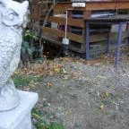 Nomád Hotel & Glamping Noszvaj - Medence/kert