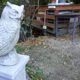 Nomád Hotel & Glamping, Noszvaj - Medence/kert