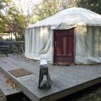 Nomád Hotel & Glamping Noszvaj - Medence/kert