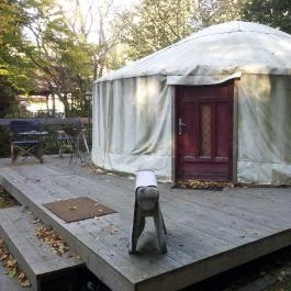 Nomád Hotel & Glamping, Noszvaj - Medence/kert