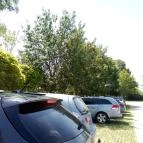 Nyárfás Étterem Zsámbék Zsámbék - Egyéb