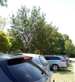 Nyárfás Étterem Zsámbék