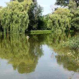 Ópusztaszeri Nemzeti Történeti Emlékpark Ópusztaszer - Egyéb