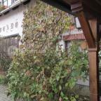 Öreg Prés Butikhotel Mór - Külső kép