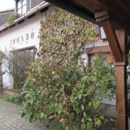 Öreg Prés Butikhotel, Mór - Külső kép