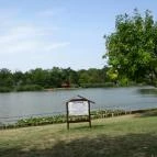 Gyopárosfürdő Gyógy-, Park- és Élményfürdő Orosháza - 