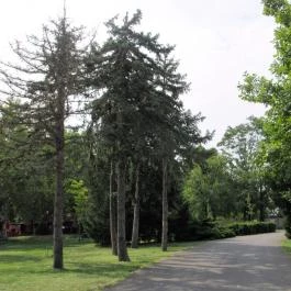 Gyopárosfürdő Gyógy-, Park- és Élményfürdő, Orosháza - 