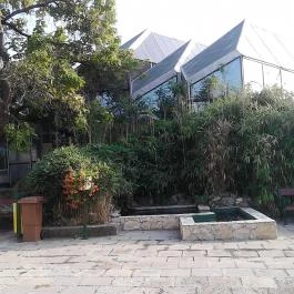 Gyopárosfürdő Gyógy-, Park- és Élményfürdő, Orosháza - 