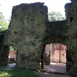 Pálos Kolostorrom, Salföld - Egyéb