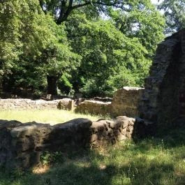 Pálos Kolostorrom, Salföld - Egyéb