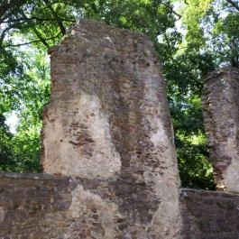 Pálos Kolostorrom, Salföld - Egyéb