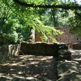 Pálos Kolostorrom, Salföld - Egyéb