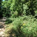 Pálos Kolostorrom Salföld - Egyéb