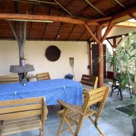 Platán Vendégház Ópusztaszer - Medence/kert