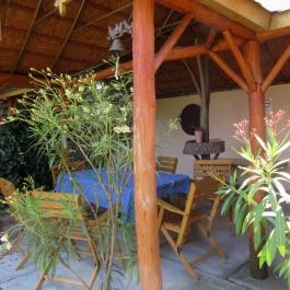 Platán Vendégház Ópusztaszer - Medence/kert