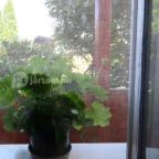 Platán Vendégház Ópusztaszer - Szobák