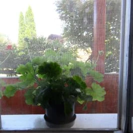 Platán Vendégház Ópusztaszer - Szobák