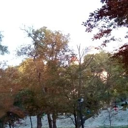 Portobello Wellness & Yacht Hotel Esztergom, Esztergom - Egyéb