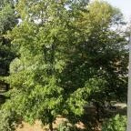 Harkányi Psoriasis Centrum Harkány - Környék