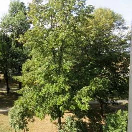 Harkányi Psoriasis Centrum Harkány - Környék