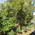 Harkányi Psoriasis Centrum Harkány - Környék