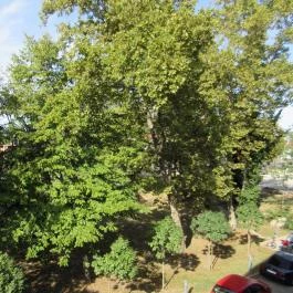 Harkányi Psoriasis Centrum Harkány - Környék