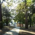 Harkányi Psoriasis Centrum Harkány - Környék