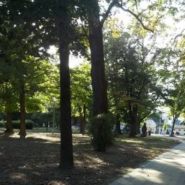 Harkányi Psoriasis Centrum Harkány - Környék