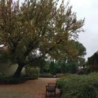 Puchner Kastélyszálló Bikal - Egyéb