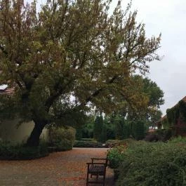 Puchner Kastélyszálló, Bikal - Egyéb