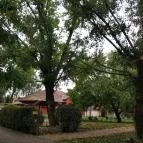 Puchner Kastélyszálló Bikal - Egyéb