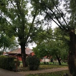 Puchner Kastélyszálló, Bikal - Egyéb