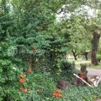 Puchner Kastélyszálló Bikal - Egyéb