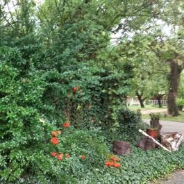 Puchner Kastélyszálló, Bikal - Egyéb