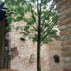 Puchner Kastélyszálló Bikal - Egyéb