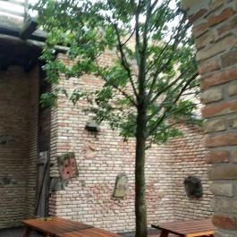 Puchner Kastélyszálló, Bikal - Egyéb