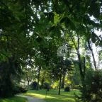 Puchner Kastélyszálló Bikal - Egyéb