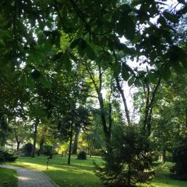 Puchner Kastélyszálló, Bikal - Egyéb