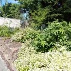 Hunguest Hotel Bál Resort Balatonalmádi - Külső kép