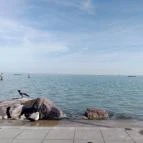 Hunguest Hotel Bál Resort Balatonalmádi - Egyéb