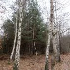 Recski Nemzeti Emlékpark Recsk - 