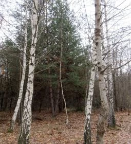 Recski Nemzeti Emlékpark