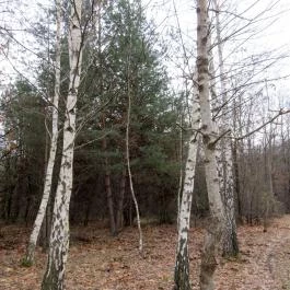 Recski Nemzeti Emlékpark, Recsk - 